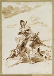 Chiens attaquant un homme sur une mule