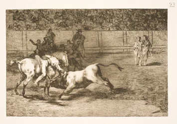 Maria Ceballas, aussi appelée l