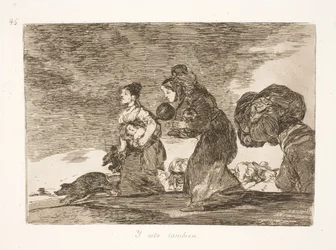 Aussi ceci (45)