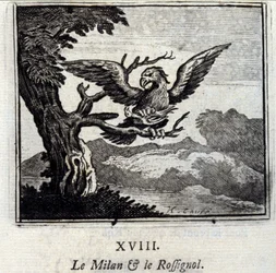 Le milan et le rossignol. Fables de Jean de La Fontaine (1621-95). Illustration de François Chauveau (1613-1676). Édition de 1728.