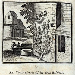 La Chauve-souris et les deux Belettes