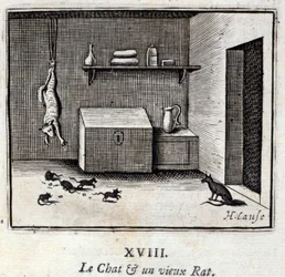Le Chat et un vieux rat