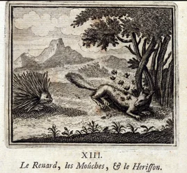 Le renard, les mouches et le hérisson. Fables de Jean de La Fontaine (1621-95). Illustration de François Chauveau (1613-1676). Édition de 1728.