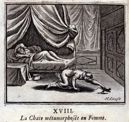 Le chat métamorphosé en femme