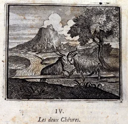 Les deux chèvres