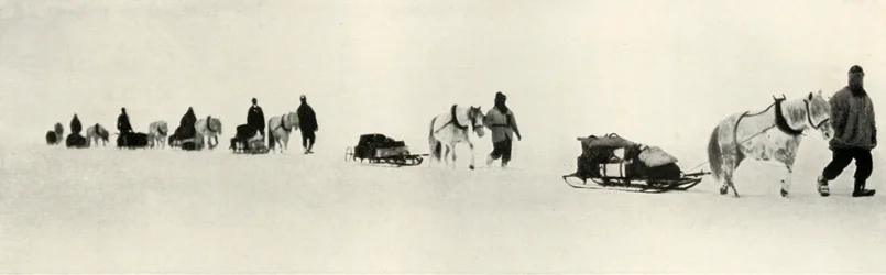 Poneys en marche, 1911, 1913