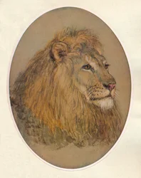 Tête de lion