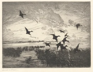 Après le coucher du soleil