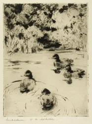 Petits oiseaux bleus