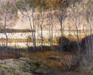 Eaux argentées