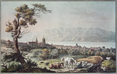 Vue de Lausanne depuis Beaulieu (Blick von Beaulieu auf Lausanne)