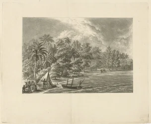 Paysage tropical
