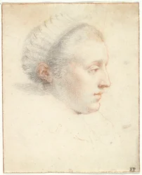 Portrait de profil d