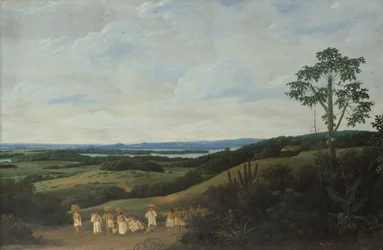 Paysage brésilien