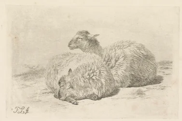 Deux moutons couchés