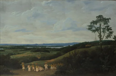 Un paysage brésilien, 1650