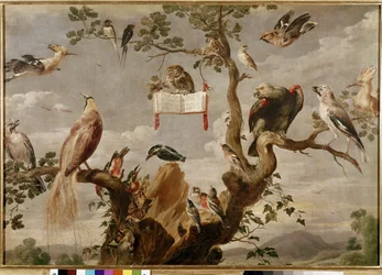 Le concert des oiseaux