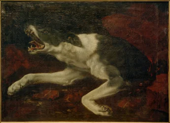 Chien blessé