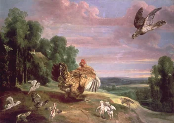 Le Faucon et la Poule