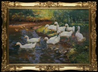 Famille de canards (Canards avec canetons au bord du ruisseau)