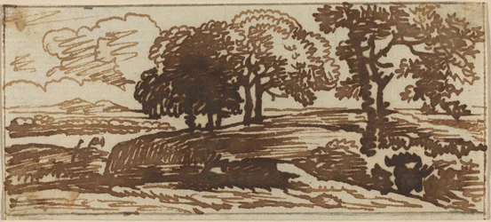 Paysage