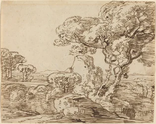 Paysage avec arbres et rochers escarpés