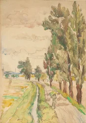 Route bordée d