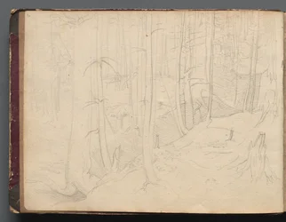 Album avec des vues de Rome et des environs, études de paysage, page 01b : Paysage romain