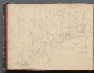 Album de vues de Rome et de ses environs, Études de paysages, page 01b : Paysage romain