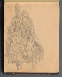 Album avec des vues de Rome et des environs, études de paysage, page 13a : Arbres