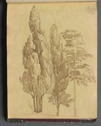 Album avec vues de Rome et des environs, études de paysage, page 15a : Arbres