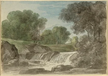 Paysage arboré