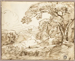 Paysage panoramique