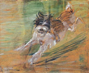 Chien bondissant