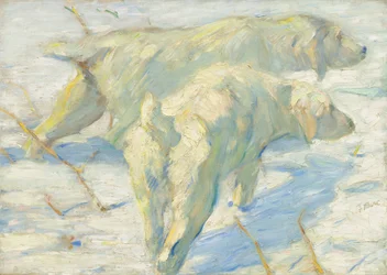 Chiens de Sibérie dans la neige