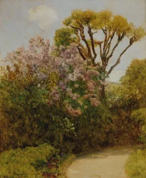 Paysage