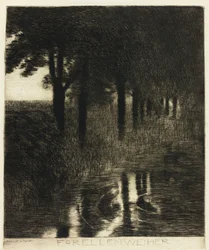 Le bassin à truites