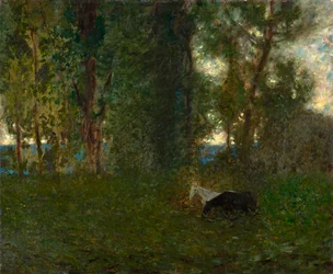 Chevaux paissant