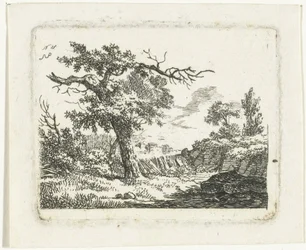 Paysage avec arbre aux deux branches mortes