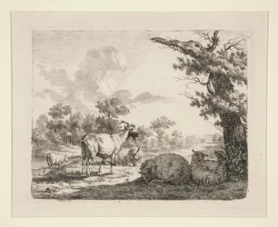 Moutons dans un pré