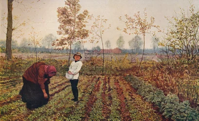 Le champ de violettes, 1867, vers 1915