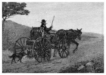 Un trappeur de lapins de Colac, 1886