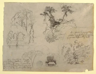 Études botaniques et une maison, probablement de Colombie