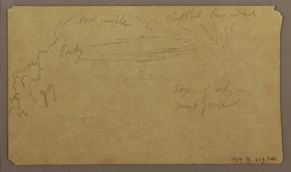 Dessin, croquis botaniques ; Verso : nuages, juillet 1865