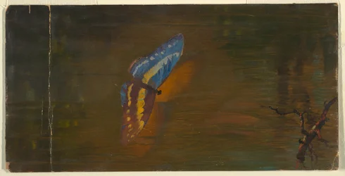 Dessin, Papillon sur l
