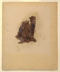 Dessin, dromadaire accroupi, 1868