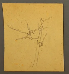Dessin, Arbres morts, peut-être juillet 1866