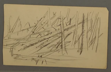 Dessin, Arbres tombés, peut-être 1877