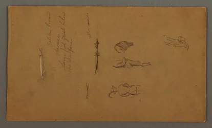 Dessin, études de figures, figure dans un bateau, poisson, peut-être 1868