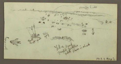 Dessin, colline, arbustes, personnage, études sur les chameaux, peut-être 1868